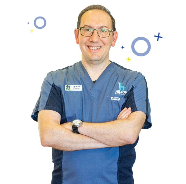 Dr Dario - Cruciate Ligament Surgery For Dogs Surgeon - Hilton Vet Hospital