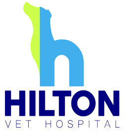 Hilton Vet Hospital 