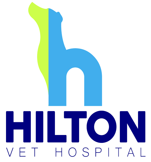 Hilton Vet Hospital