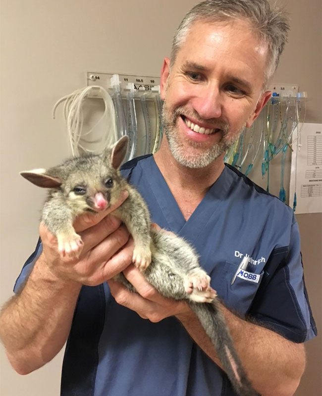 Hilton Vet Hospital - Caring for Wildlife in Western Australia