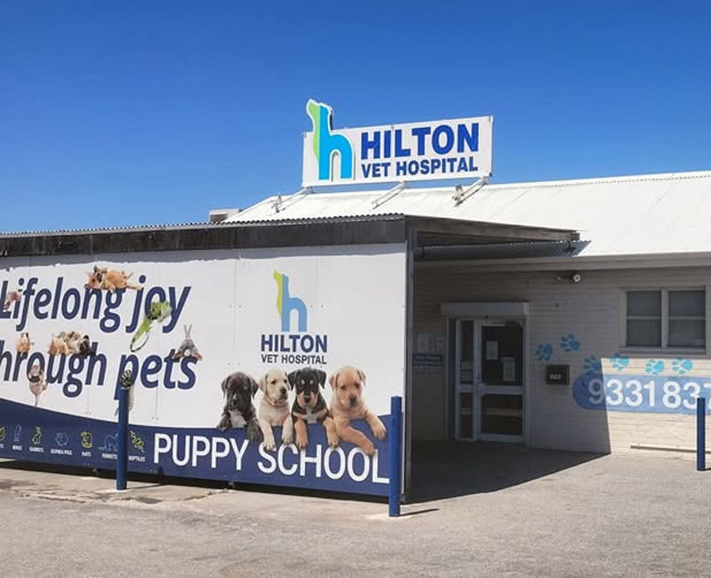 Hilton Vet Hospital