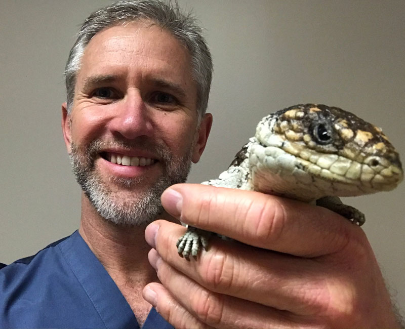 Hilton Vet Hospital - Reptile Vet Perth