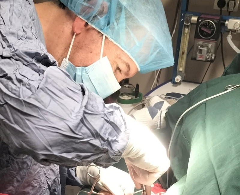 Hilton Vet Hospital - Pet Orthopaedic Surgery