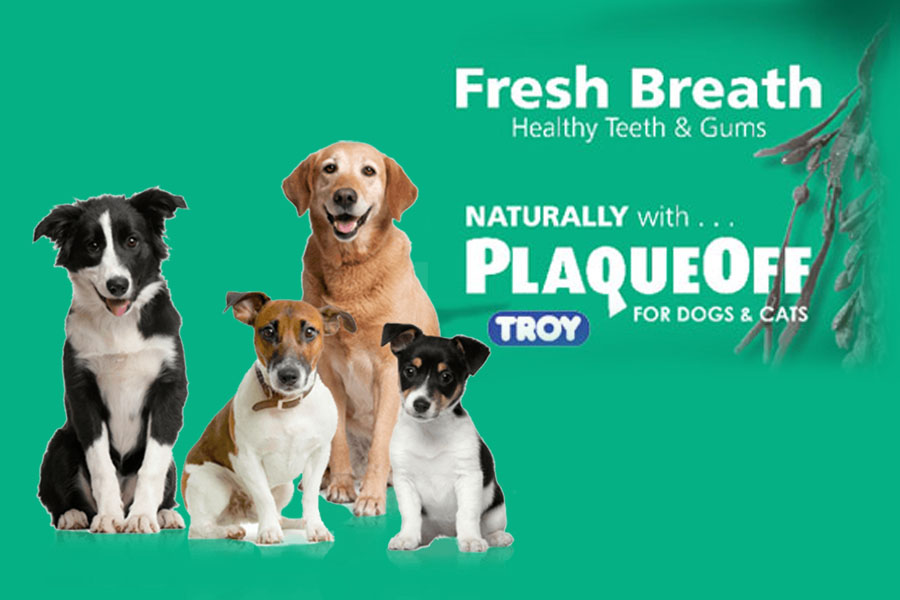Dental Health - Plaque Off for Cats and Dogs